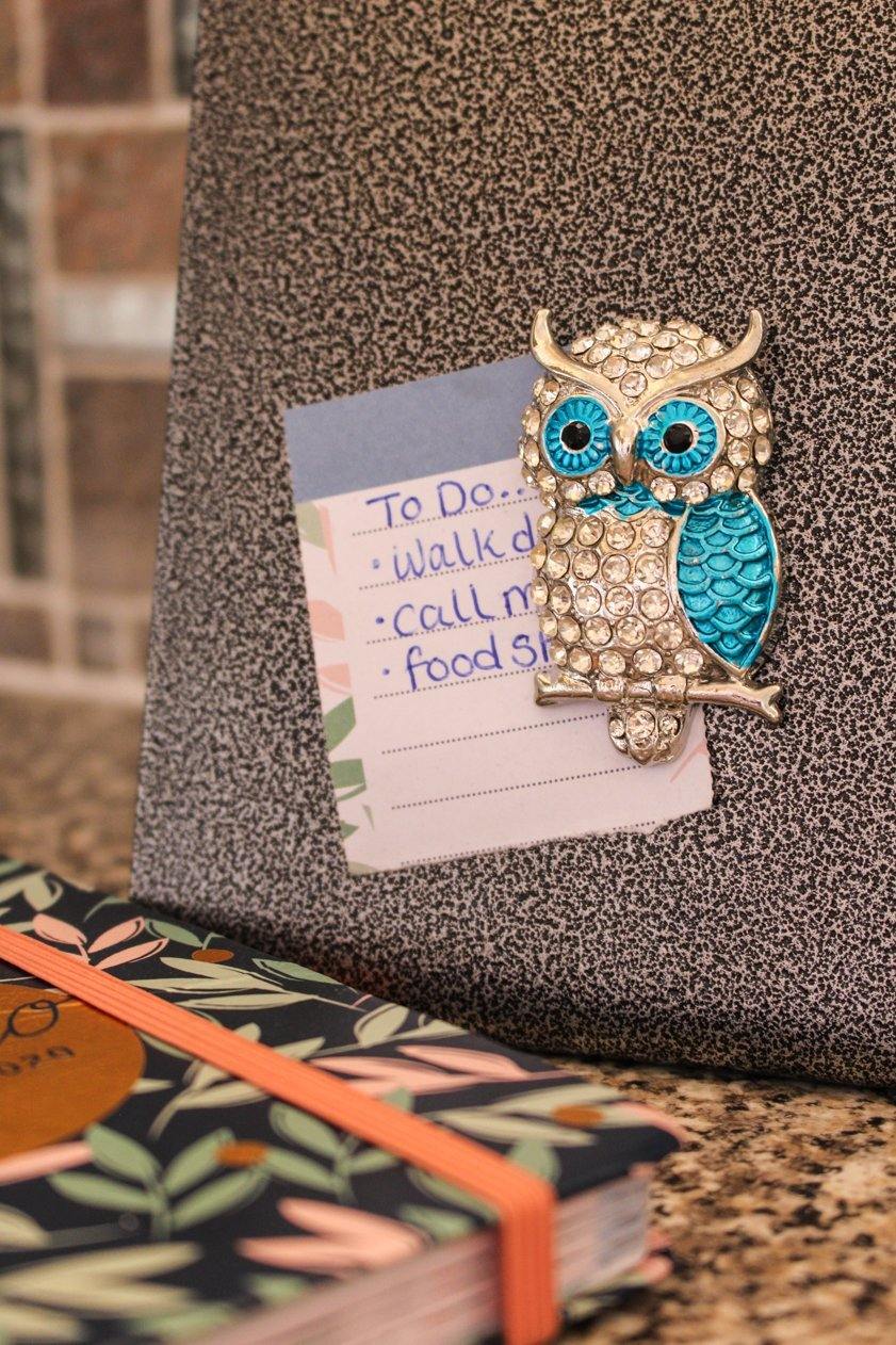 Owl Magnet Blue - Wildtouch - Wildtouch